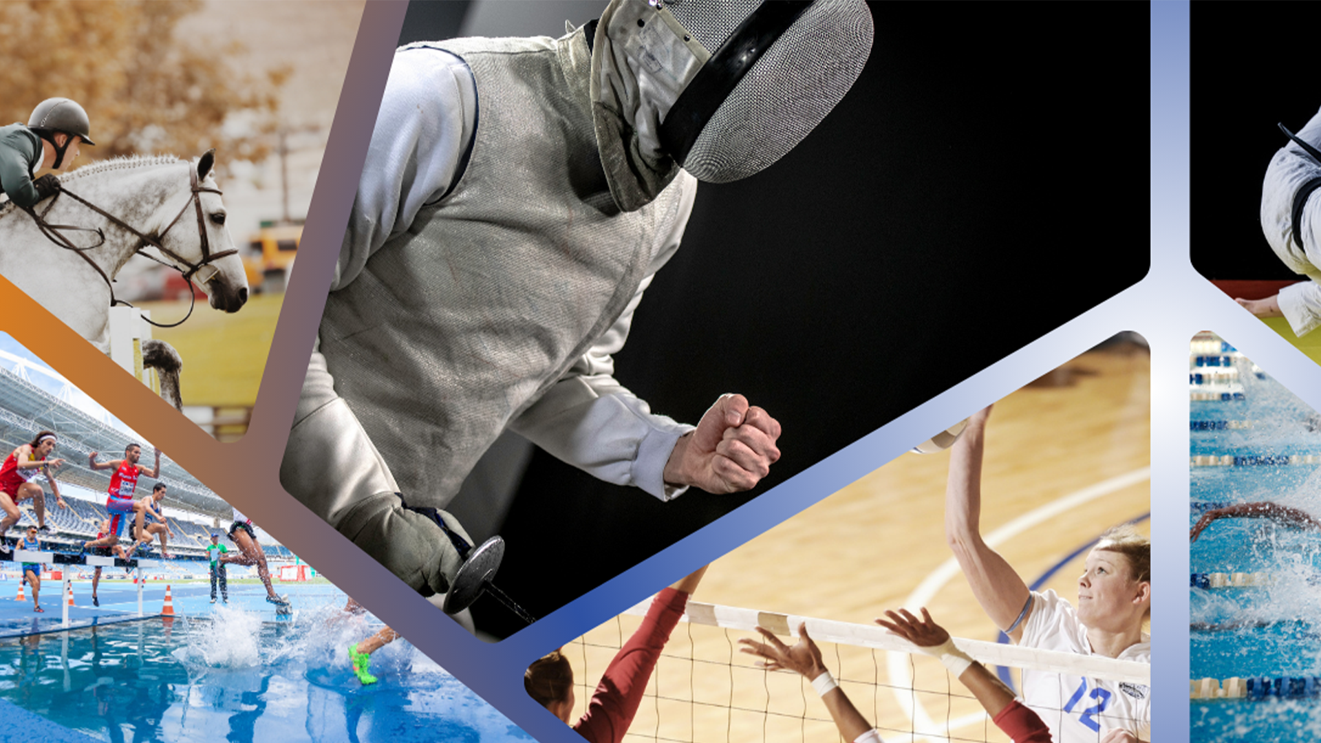 Montage photo d'images de sportifs (un cavalier, un escrimeur, des hanballeuses, des coureurs de steeples, des nageurs, et des judokas) 